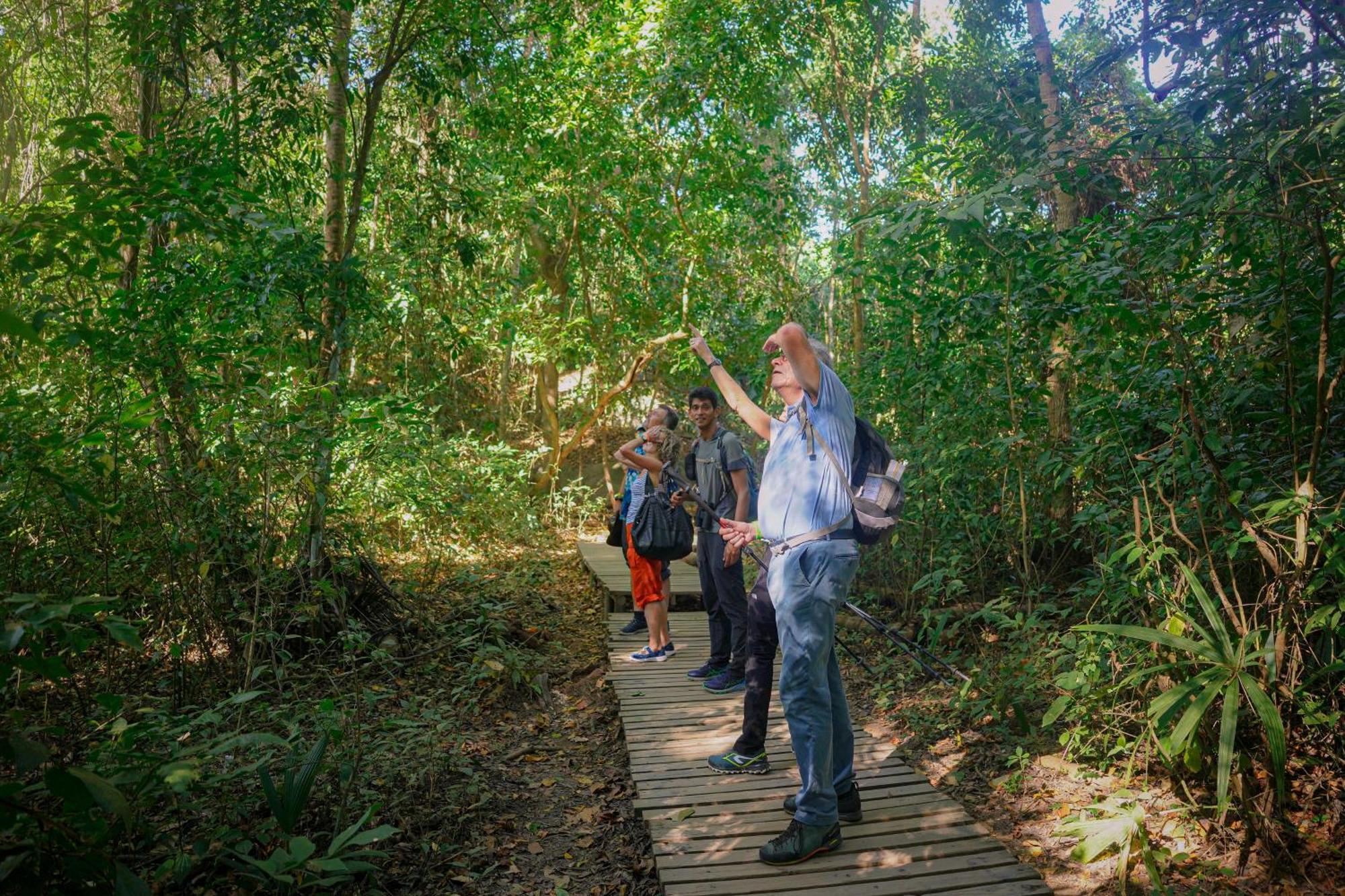 Ecohotel Yachay Tayrona Dentro Del Parque Tayrona El Zaino Eksteriør bilde