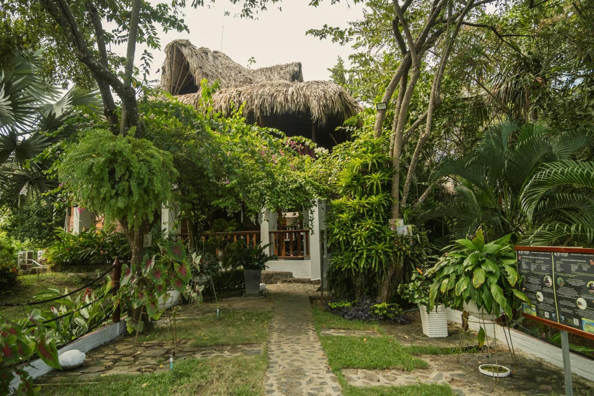 Ecohotel Yachay Tayrona Dentro Del Parque Tayrona El Zaino Eksteriør bilde